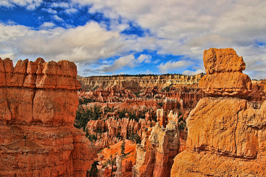 Bryce Canyon 38 - Sunrise Point Photograph by Allen Beatty