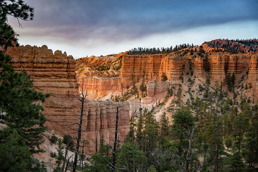 Bryce Canyon Photograph - Bryce Canyon 4 by Phil Abrams
