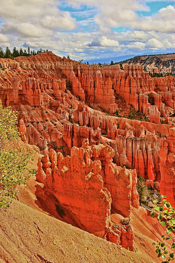 Bryce Canyon 41 - Sunrise Point Photograph by Allen Beatty