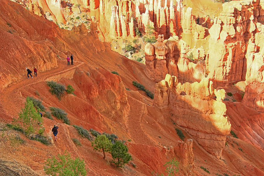 Bryce Canyon 44 - Sunset Point Photograph by Allen Beatty