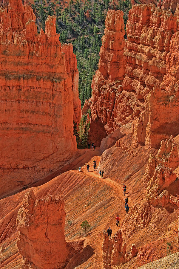 Bryce Canyon 49 - Sunrise Point Photograph by Allen Beatty