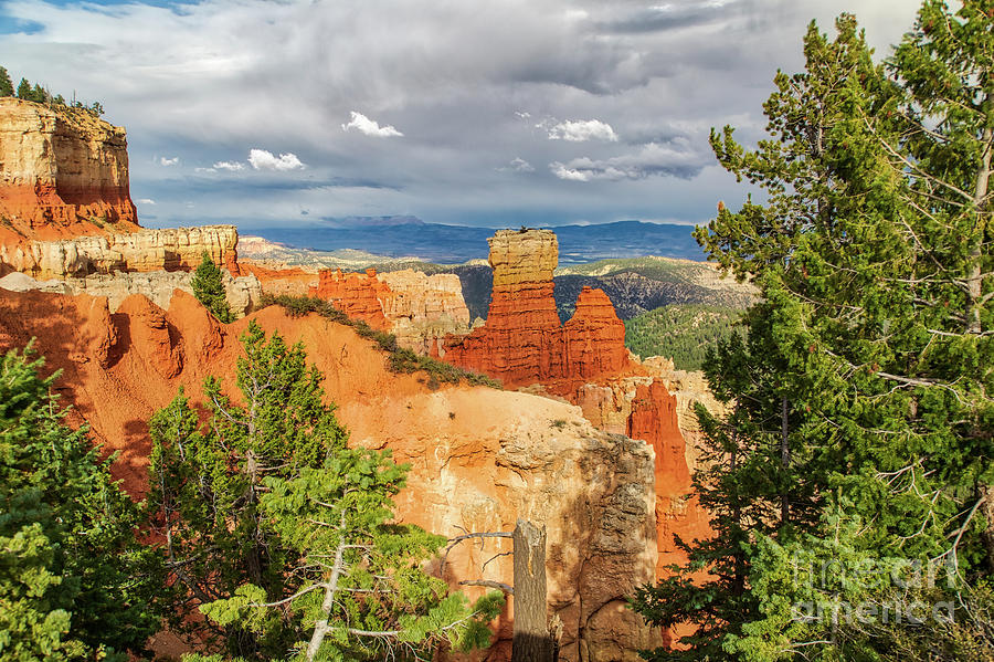 Bryce Canyon National Park Photograph - Bryce Canyon  8b7330H by Stephen Parker