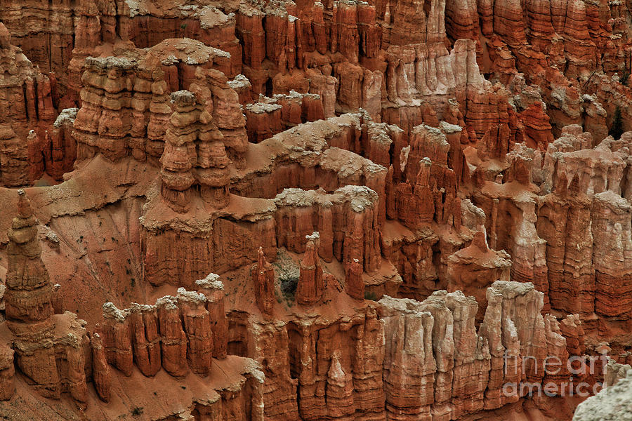 Bryce Canyon National Park Photograph - Bryce Canyon  8b8125 by Stephen Parker