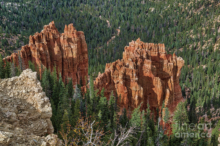Bryce Canyon National Park Photograph - Bryce Canyon  8b8132 by Stephen Parker