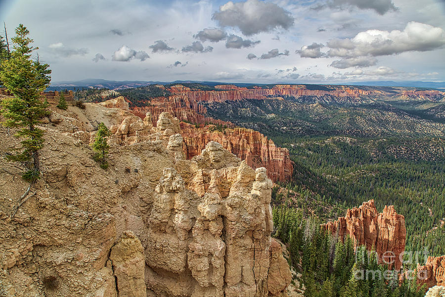Bryce Canyon National Park Photograph - Bryce Canyon  8b8142H by Stephen Parker
