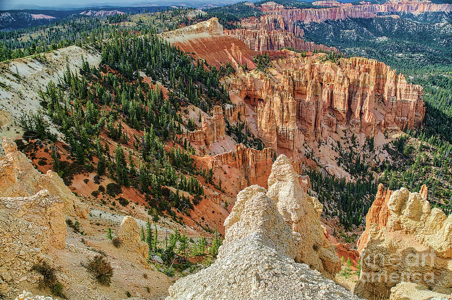 Bryce Canyon National Park Photograph - Bryce Canyon  8b8156H-2 by Stephen Parker