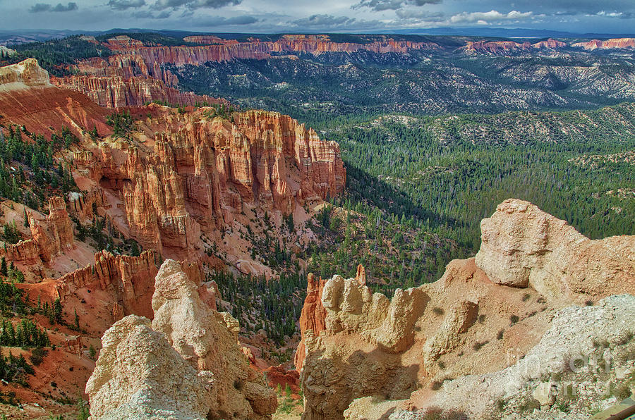 Bryce Canyon National Park Photograph - Bryce Canyon  8b8159 by Stephen Parker