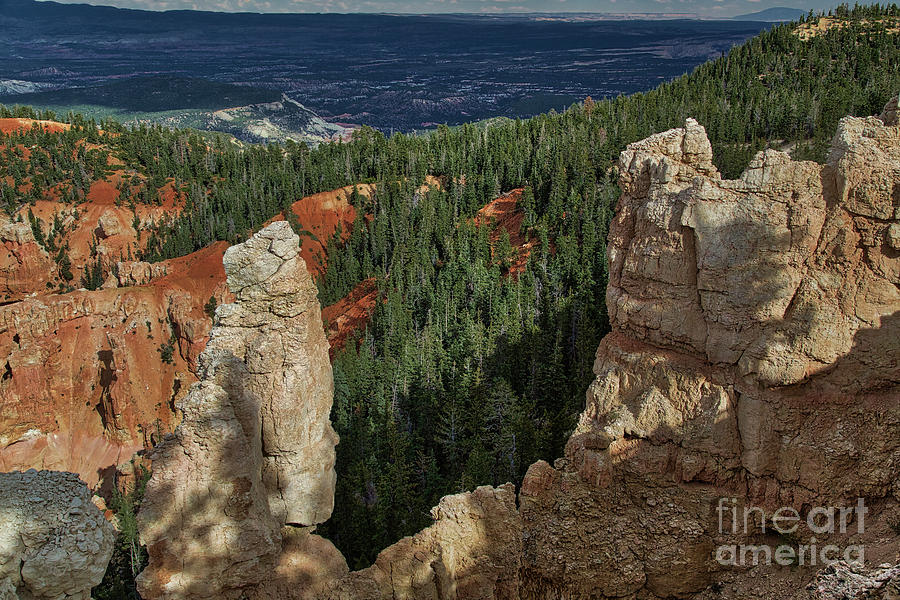 Bryce Canyon National Park Photograph - Bryce Canyon  8b8167 by Stephen Parker