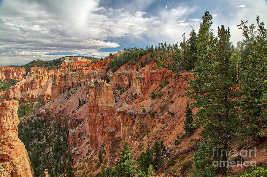 Bryce Canyon National Park Photograph - Bryce Canyon  8b8181H by Stephen Parker