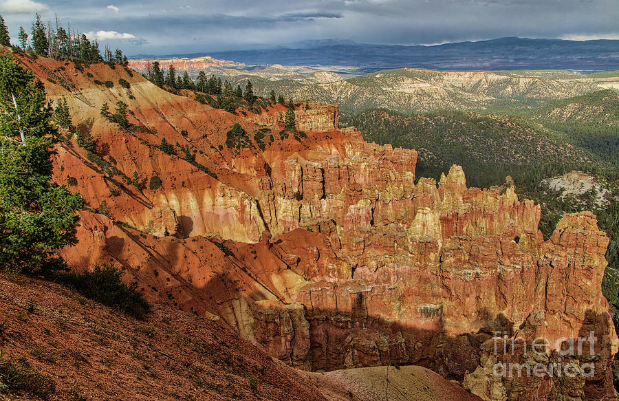Bryce Canyon National Park Photograph - Bryce Canyon  8b8189 by Stephen Parker