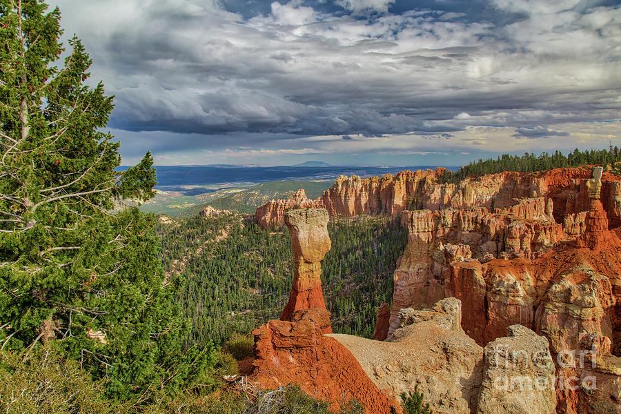 Bryce Canyon National Park Photograph - Bryce Canyon  8b8200 by Stephen Parker