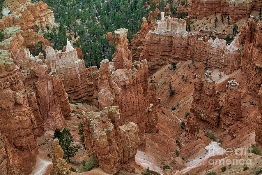 Bryce Canyon National Park Photograph - Bryce Canyon  8b8267 by Stephen Parker
