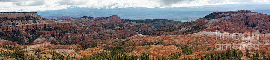 Bryce Canyon Panorama Photograph by Agnes Caruso