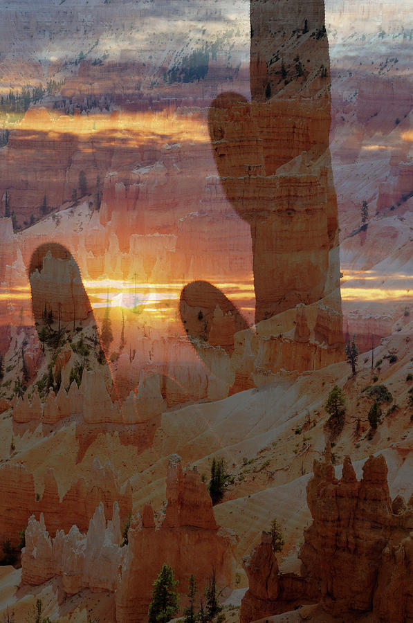 Bryce Canyon and Saguaro Double Exposure Photograph by Kyle Hanson