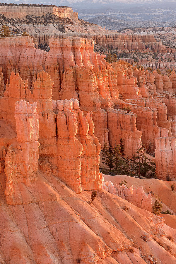 Bryce Canyon Photograph by Angela Moyer