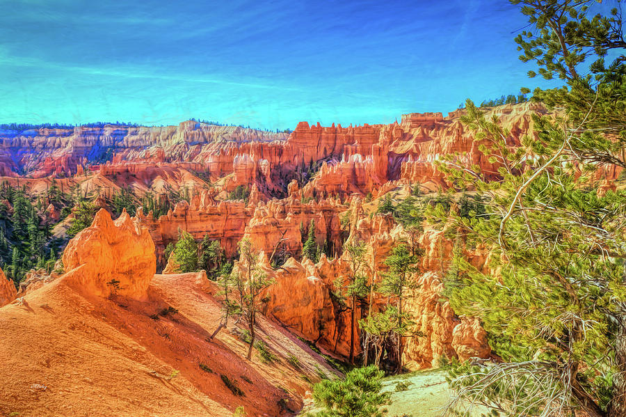 Bryce Canyon Artistry Photograph by John M Bailey