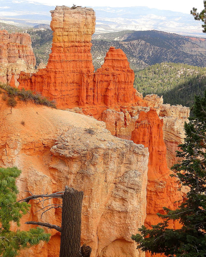 Bryce Canyon Photograph by Arvin Miner