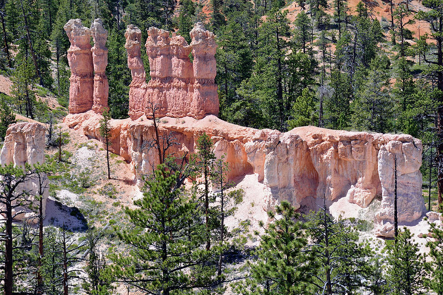 Bryce Canyon Backcountry Photograph by Bruce Gourley