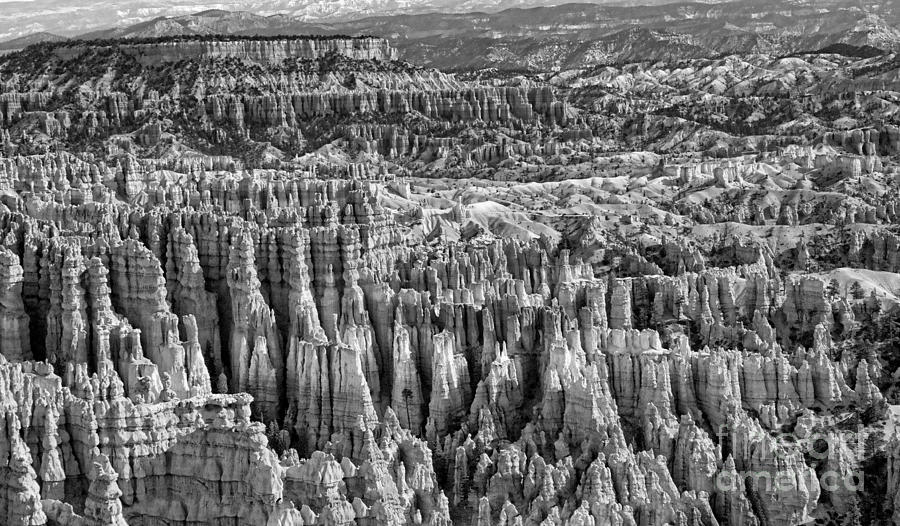 Bryce Canyon Black Wht  Photograph by Chuck Kuhn