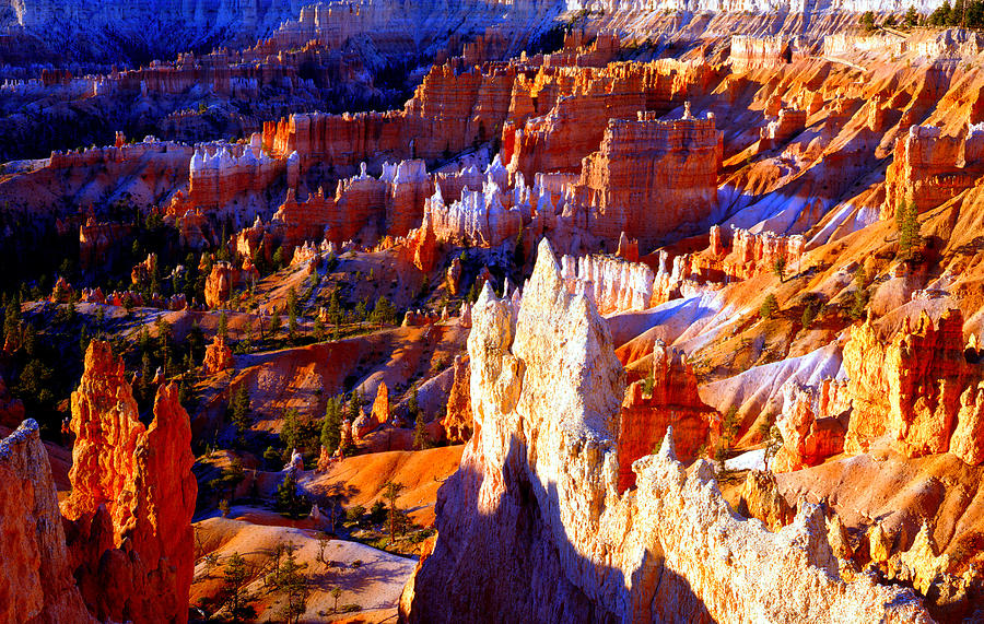 Bryce Canyon Photograph by Christian Slanec