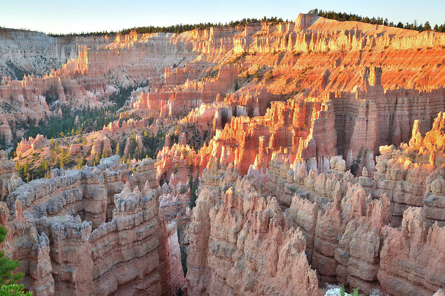 Bryce Canyon Day Begins Photograph by Ray Mathis