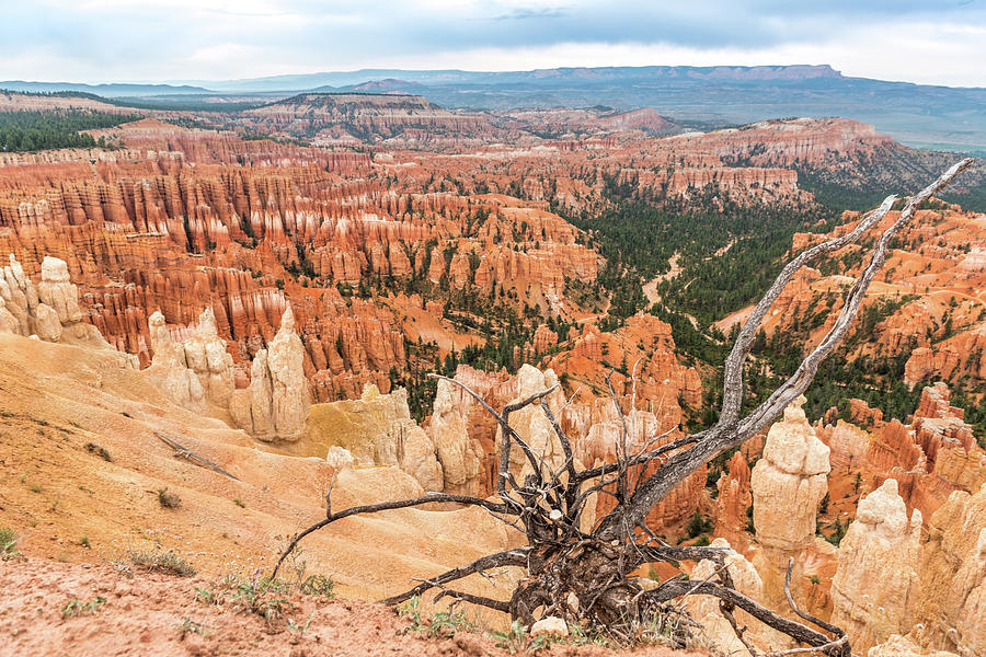 Nature Photograph - Bryce Canyon by Fink Andreas