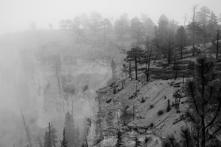 Bryce Canyon Fog Photograph by Mike Irwin