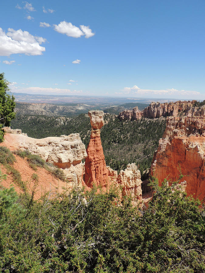 Bryce Canyon Formations Photograph by Jayne Wilson