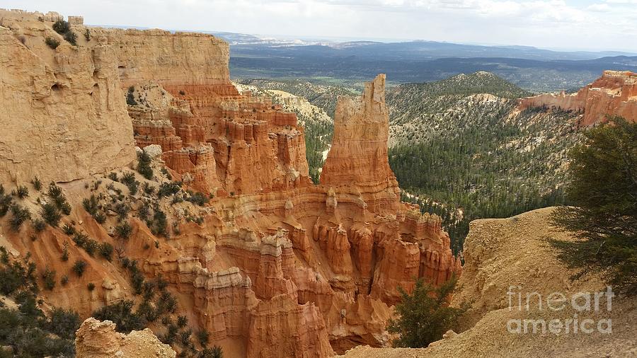 Bryce Canyon Photograph by Fortunate Findings Shirley Dickerson