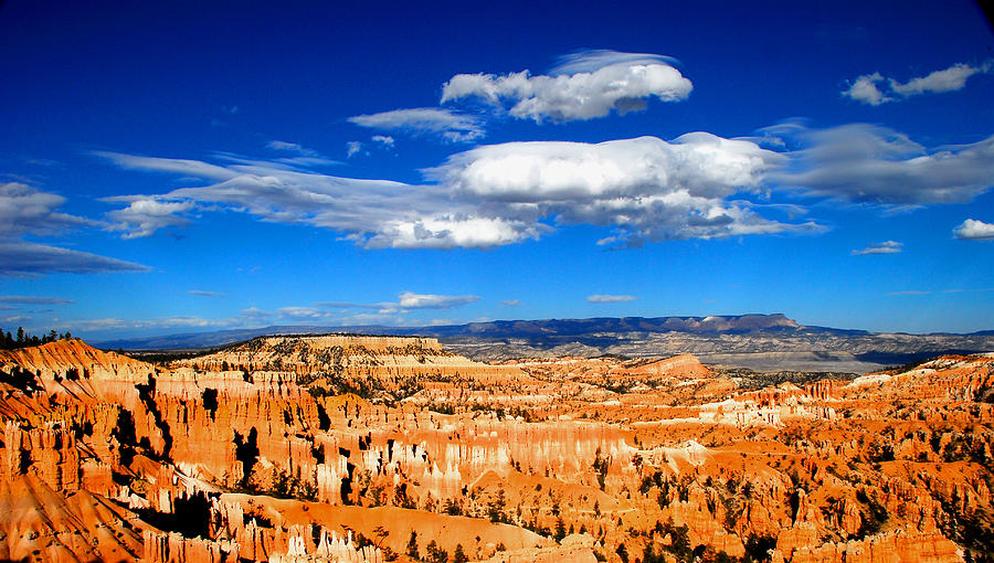 Bryce Canyon Photograph by Frank Houck