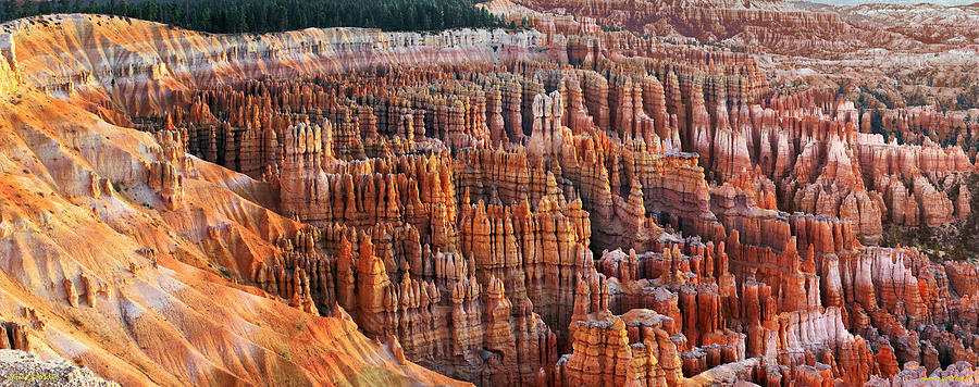 Bryce Canyon Photograph by Frank Wicker