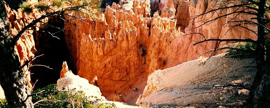 Bryce Canyon Photograph by Fred Wilson