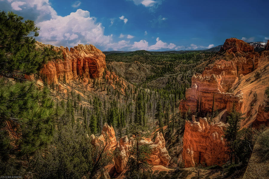 Bryce Canyon From the Top Photograph by G Lamar Yancy