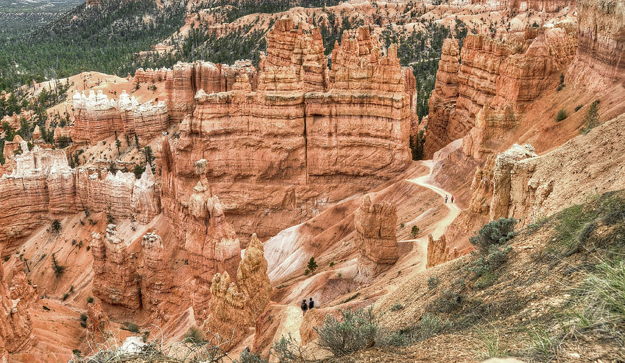 Bryce Canyon Photograph by Geraldine Alexander