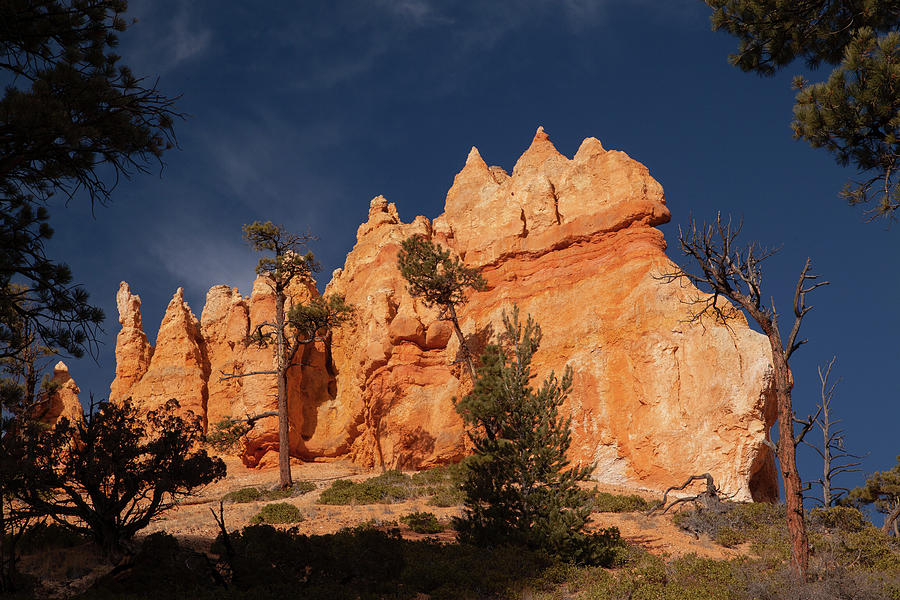 Bryce Canyon Hoodoos  Photograph by Alan Vance Ley