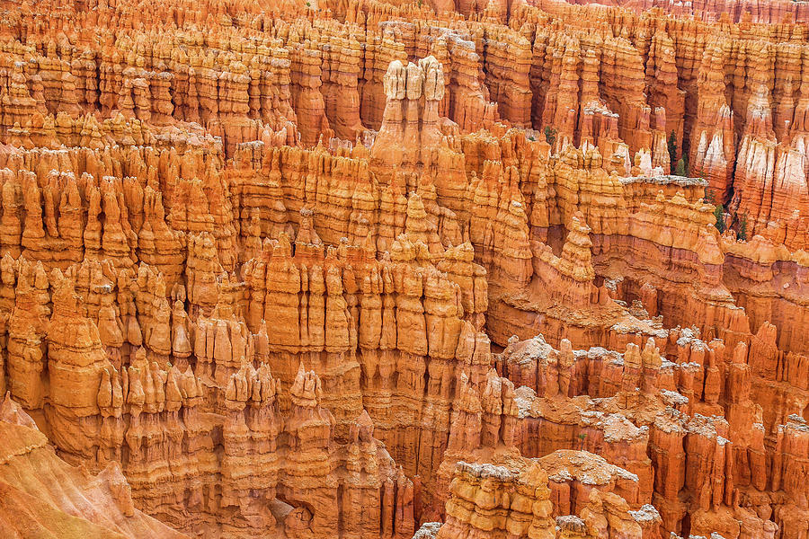 Bryce Canyon Hoodoos Photograph by Alberto Zanoni