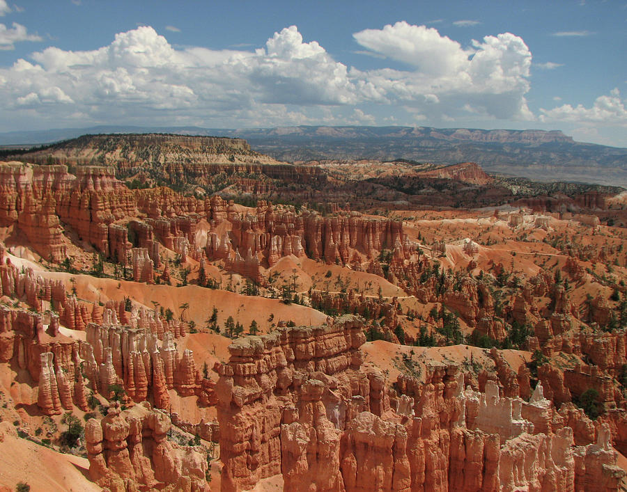 Bryce Canyon Hoodoos Photograph by Helaine Cummins