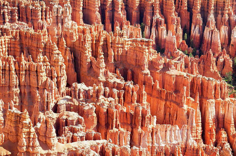 Bryce Canyon Hoodoos Landscape Photograph by Kyle Hanson