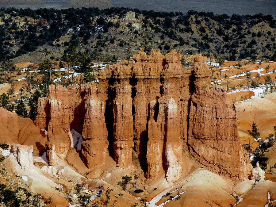 Bryce Canyon Series #9 Hoodoos Photograph by Patti Deters