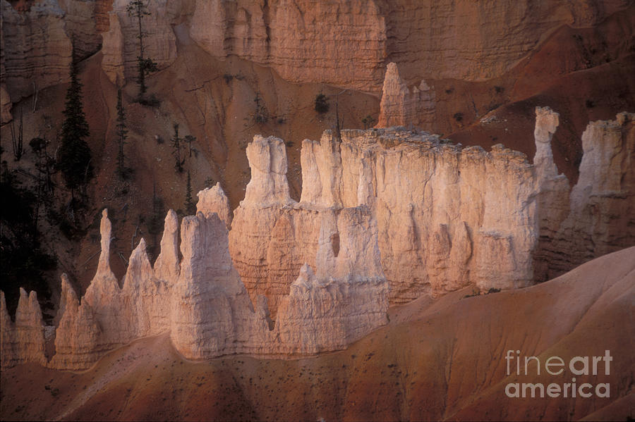 Bryce Canyon Hoodoos Photograph by Sandra Bronstein