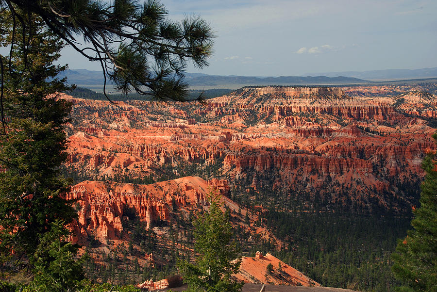 Bryce Canyon II Photograph by Susanne Van Hulst