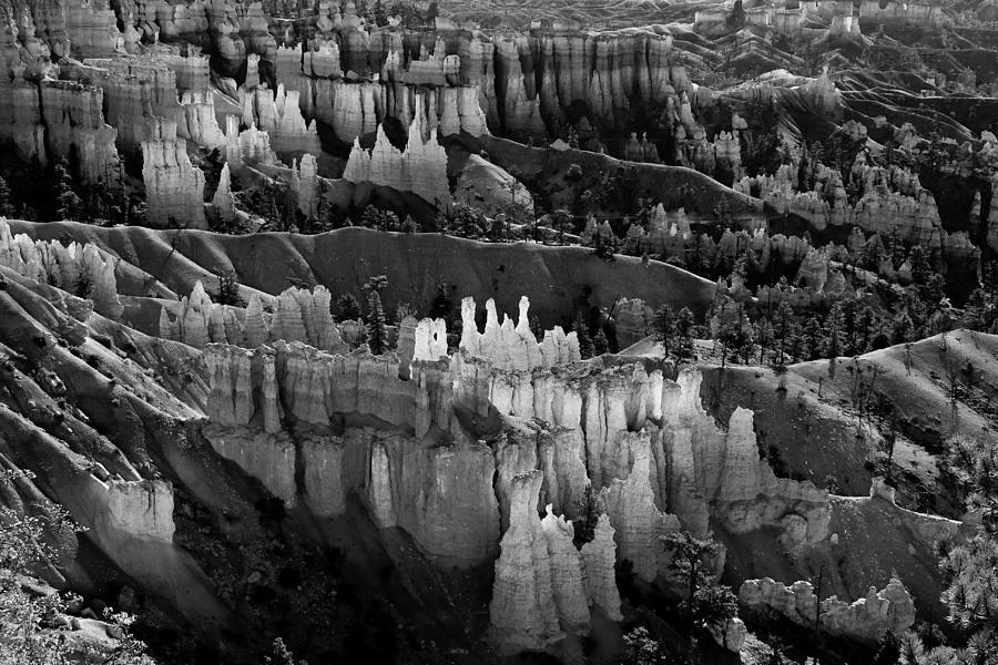 Bryce Canyon in Black and White Photograph by James BO Insogna