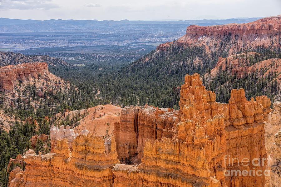 Bryce Canyon in Spring Photograph by Peggy Hughes