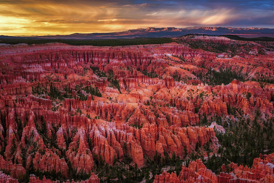 Bryce Canyon in the Glow of Sunset Photograph by John Hight