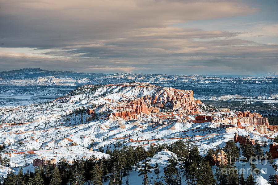 Bryce Canyon In Winter Photograph