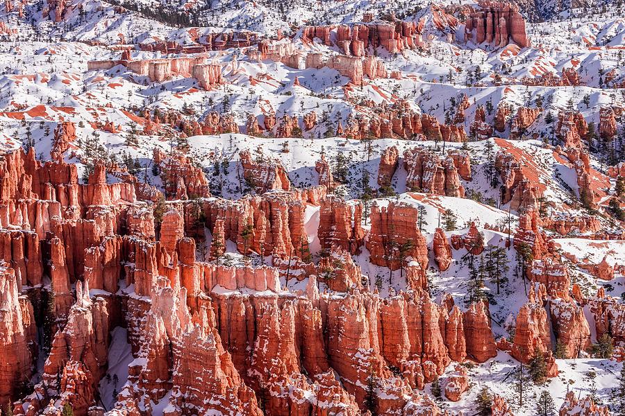 Bryce Canyon Photograph by Philip Cho