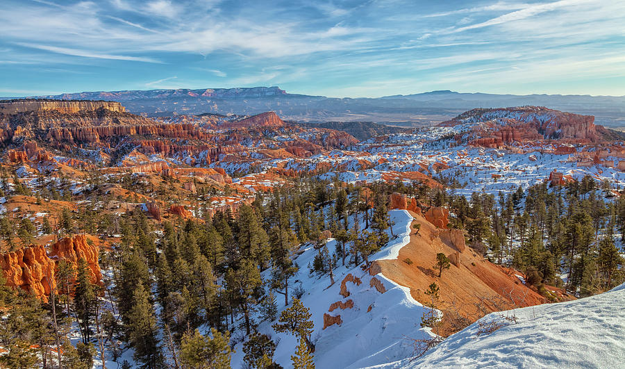 Bryce Canyon Photograph by Jonathan Nguyen