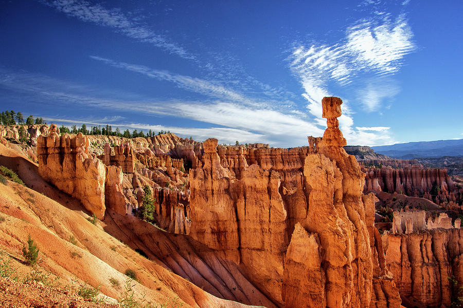 Bryce Canyon Landscape Photograph by Carolyn Derstine