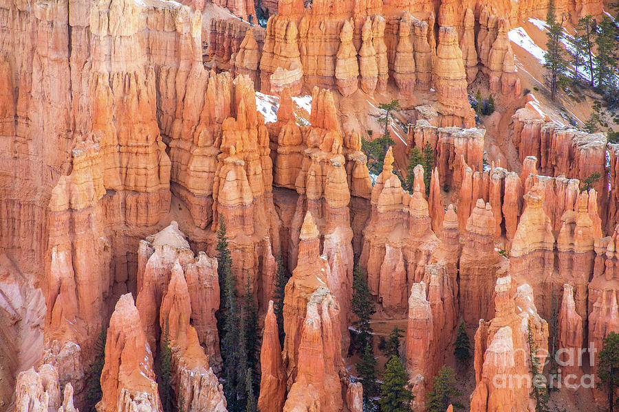 Bryce Canyon Limestone Details Photograph