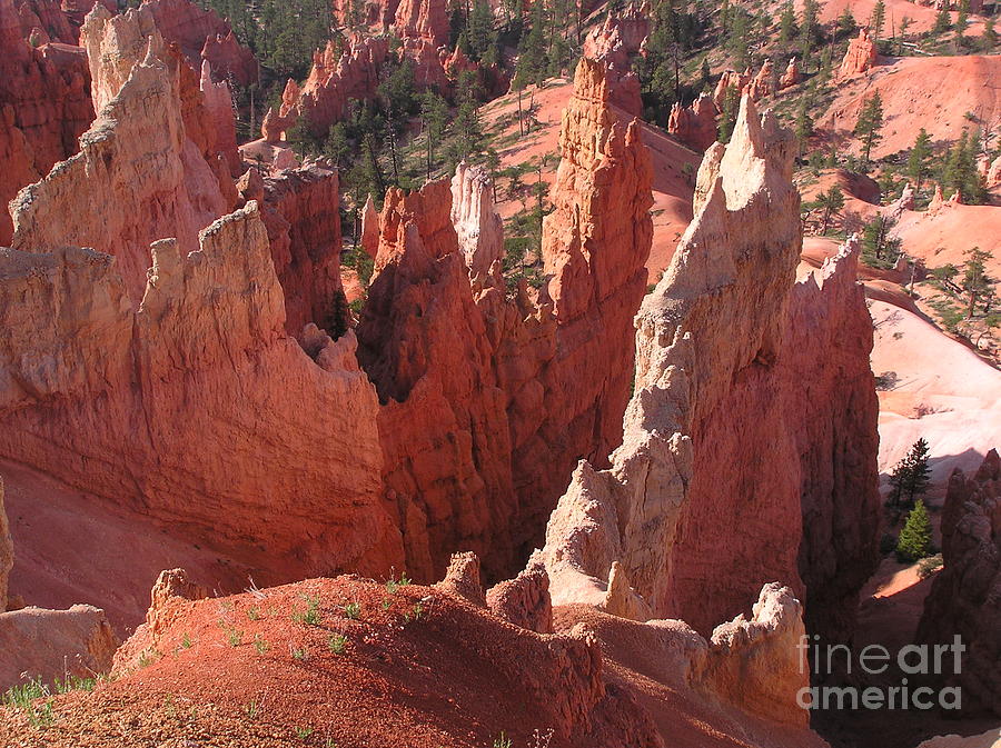 Bryce Canyon Look Photograph by Louise Magno